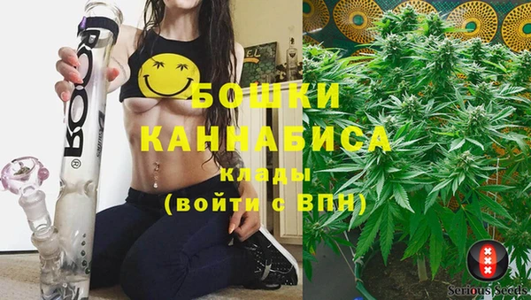 дурь Горнозаводск