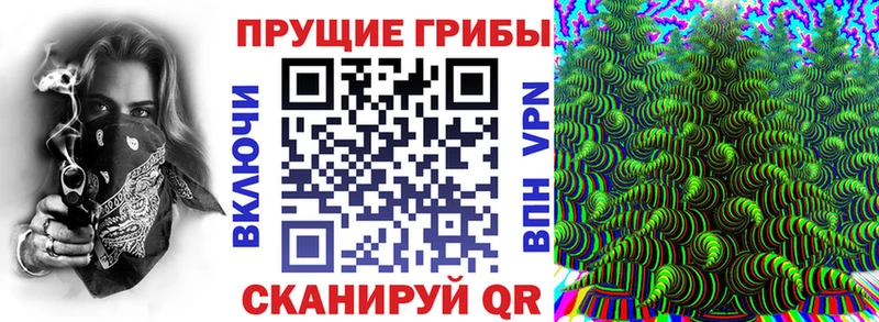 Галлюциногенные грибы Magic Shrooms  Купить  Новоуральск 